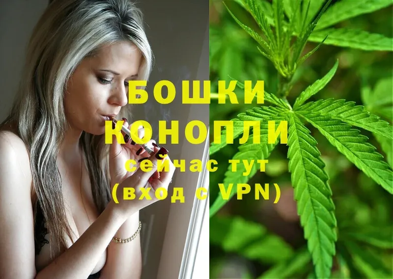 Бошки Шишки OG Kush  Нахабино 